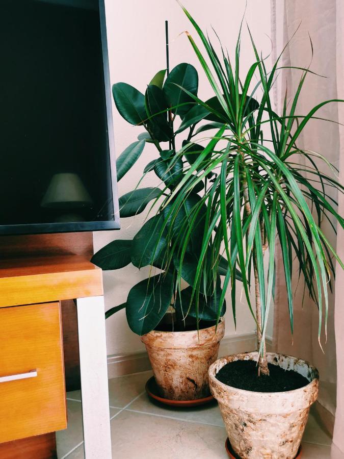 Kintsugi House Lagos Eksteriør bilde